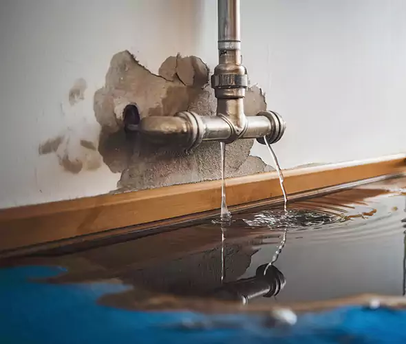 Professional Water Damage Restoration Experts in Jacksonville, NC — Fast, Reliable & Certified