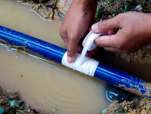  Why Choose Berg Plumbing Jacksonville for Leak Detection in Jacksonville, NC?]